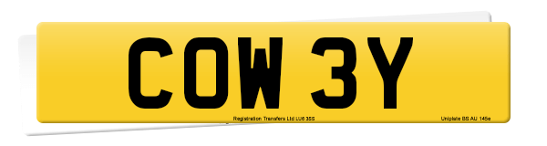 Registration number COW 3Y